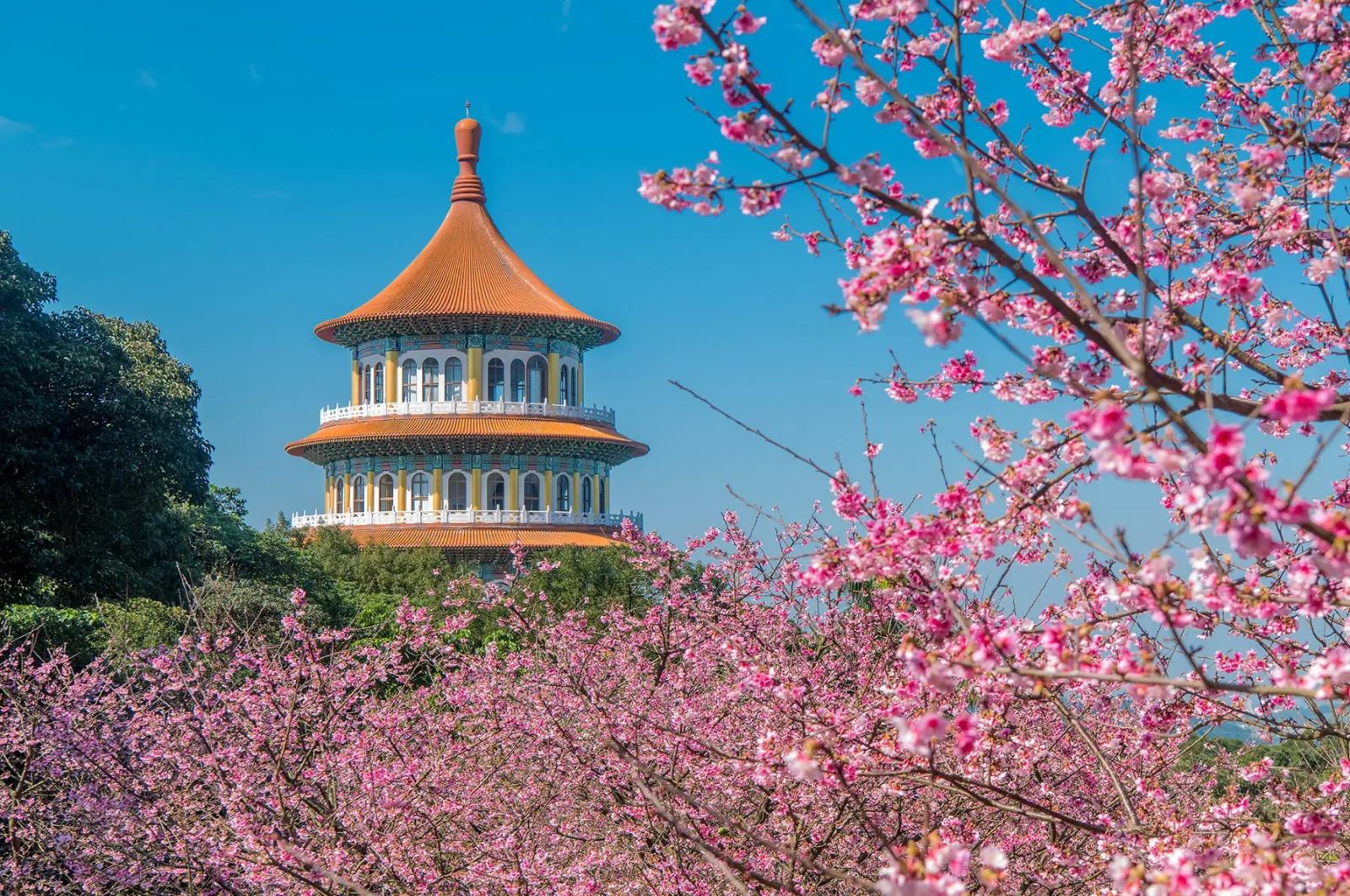 TOUR KHÁM PHÁ ĐÀI LOAN MÙA XUÂN 2025 KHI HOA ANH ĐÀO BỪNG NỞ NHỮNG SẮC MÀU RỰC RỠ HÀ NỘI - TP HCM - CAO HÙNG - ĐÀI TRUNG - ĐÀI BẮC CHÙM TOUR GIẢM GIÁ SÂU (SUMMIT TRAVEL)