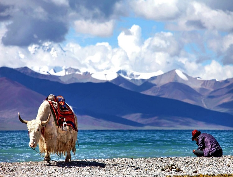 DU LỊCH TÂY TẠNG HUYỀN BÍ ĐẤT THIÊNG (SUMMIT TRAVEL) GIỚI THIỆU BẢN ĐƯỢC ƯA THÍCH LỰA CHỌN NHIỀU NHẤT 8 NGÀY 7 ĐÊM TRẢI NGHIỆM ĐƯỜNG SẮT THANH - TẠNG KHỞI HÀNH TỪ HÀ NỘI TP HỒ CHÍ MINH 